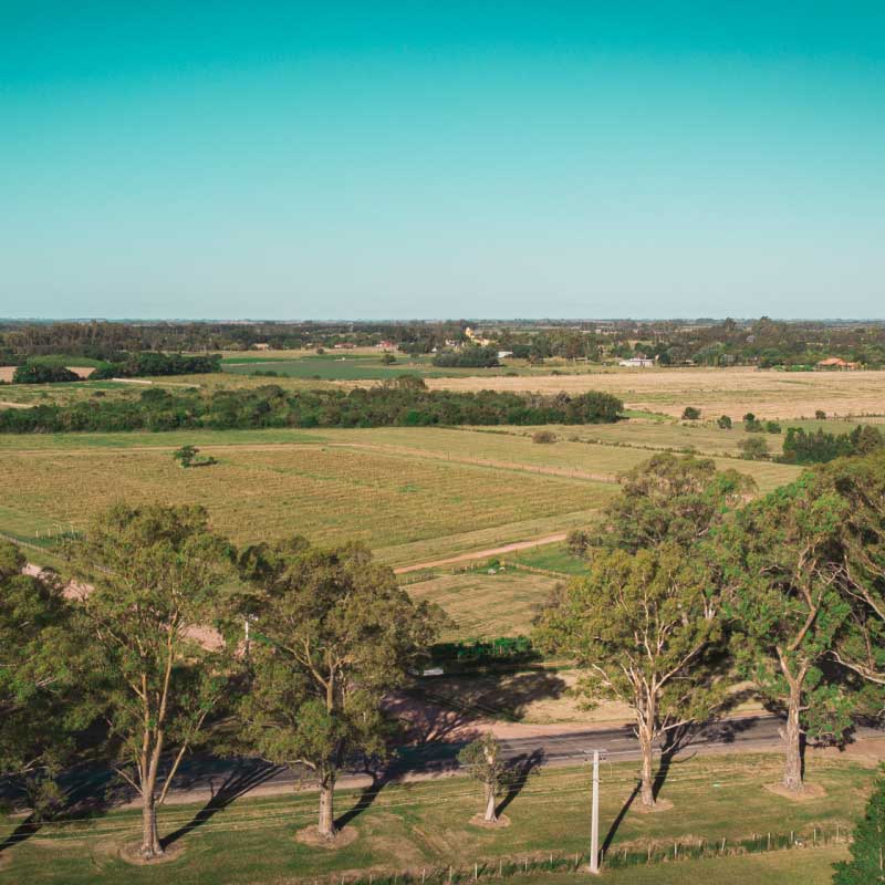 Lote Le Terroir