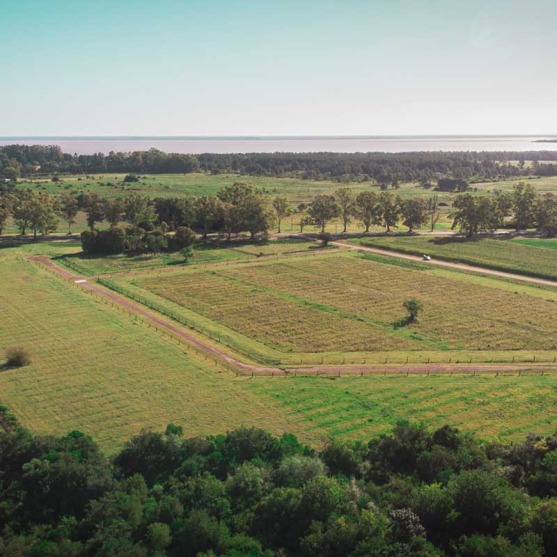 Lote Le Terroir