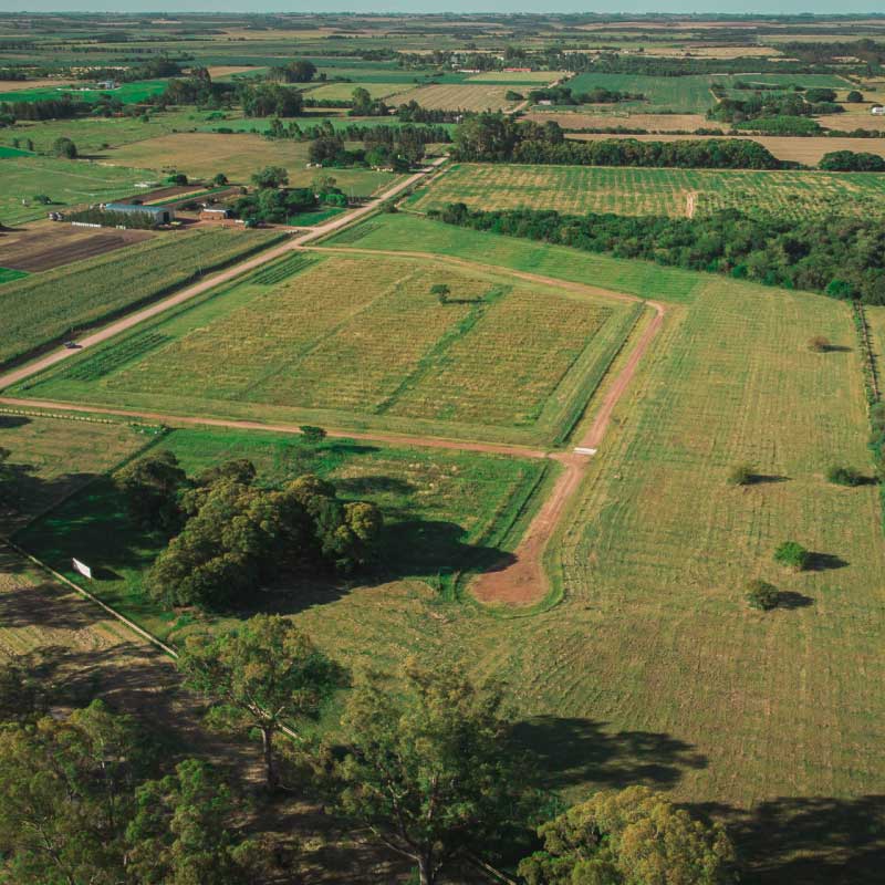 Lote Le Terroir