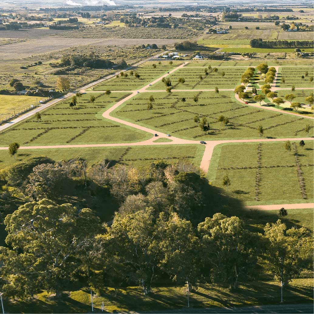 Lote Finca Urbana